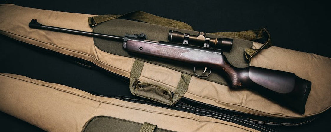 Why The Second Amendment